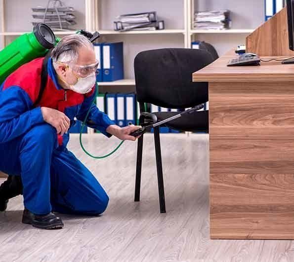 A Man Wearing A Mask Is Spraying A Chair In An Office — Maximum Pest Management In Cairns, QLD