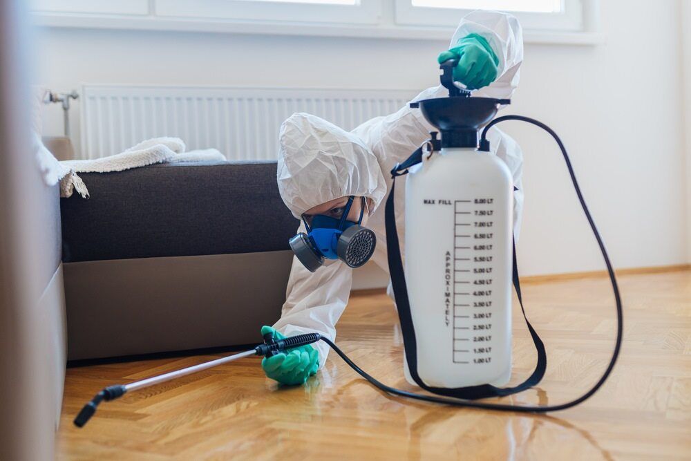 A Person In A Protective Suit Is Spraying A Room With A Sprayer — Maximum Pest Management In Cairns, QLD