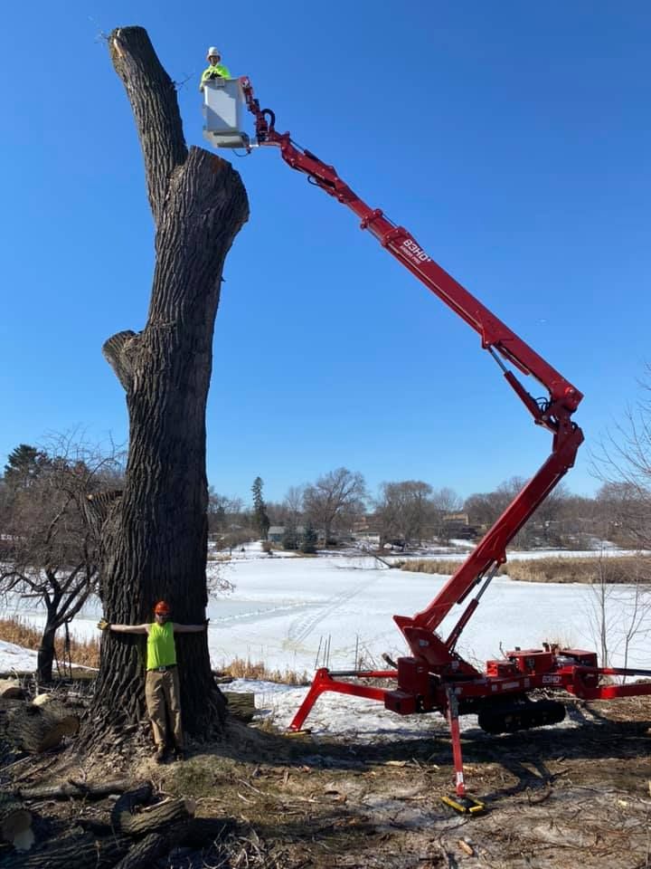 Premier Tree Service Inc - cuting tree using equipment
