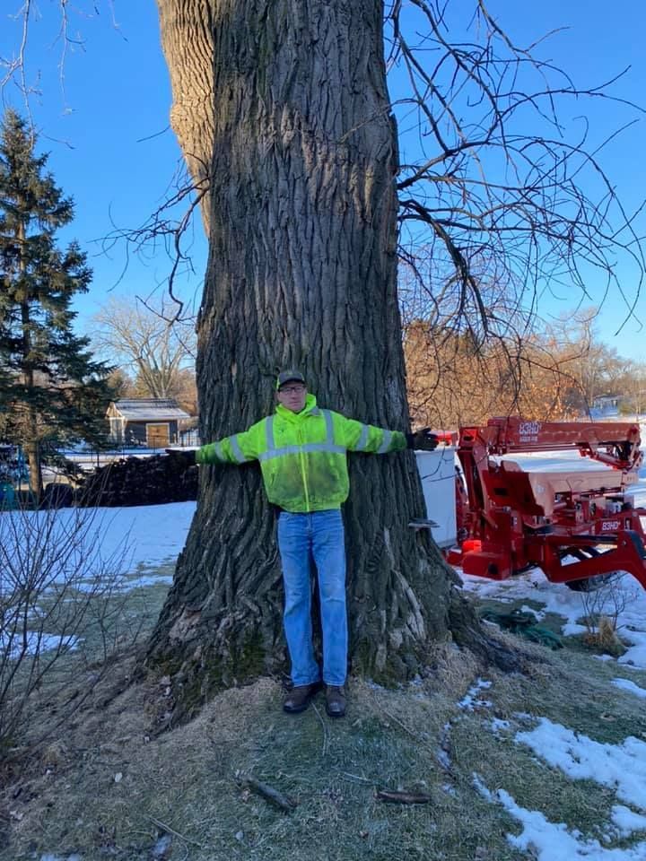 Tree Removal | Maple Grove, MN | Premier Tree Service