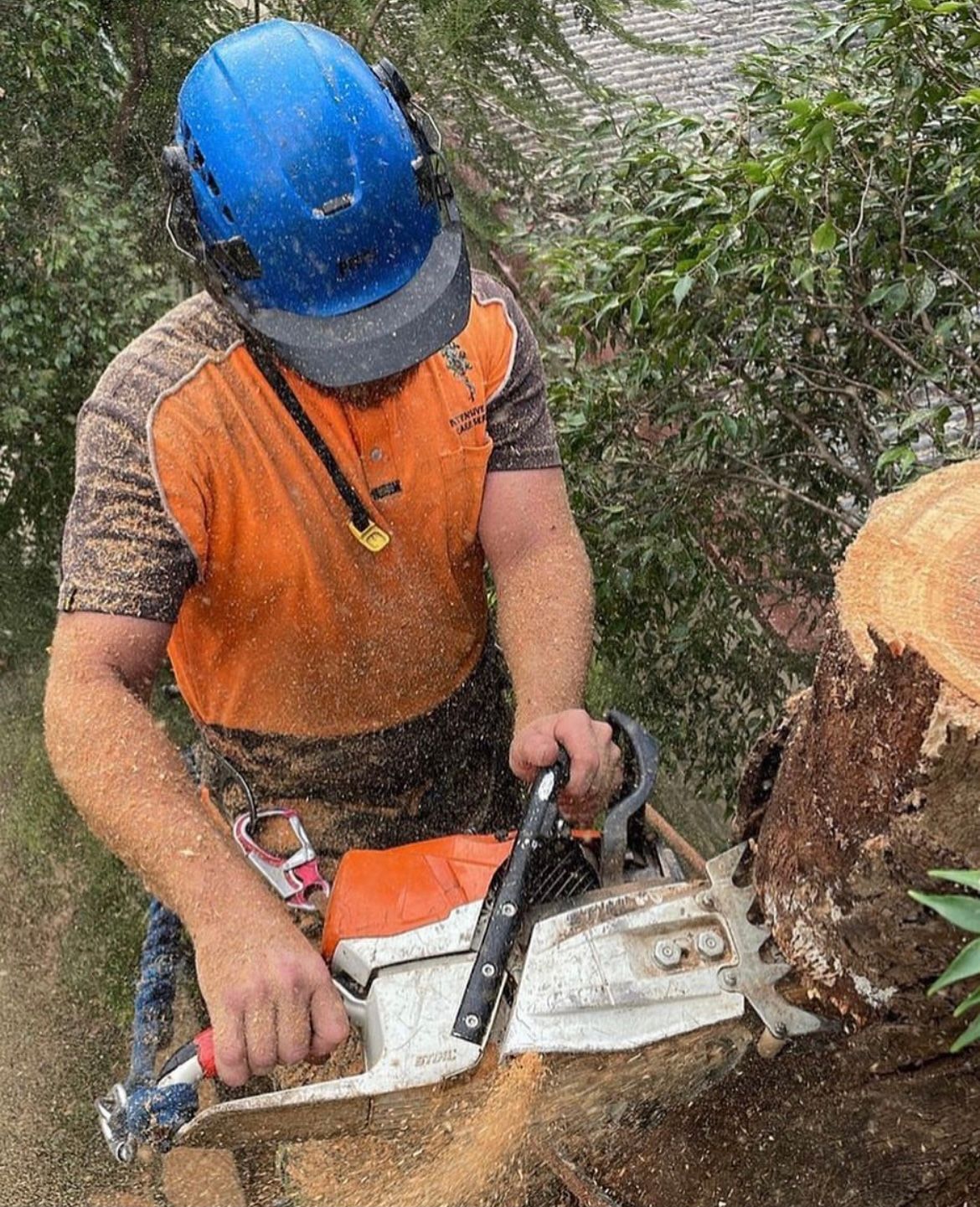 bushfire management