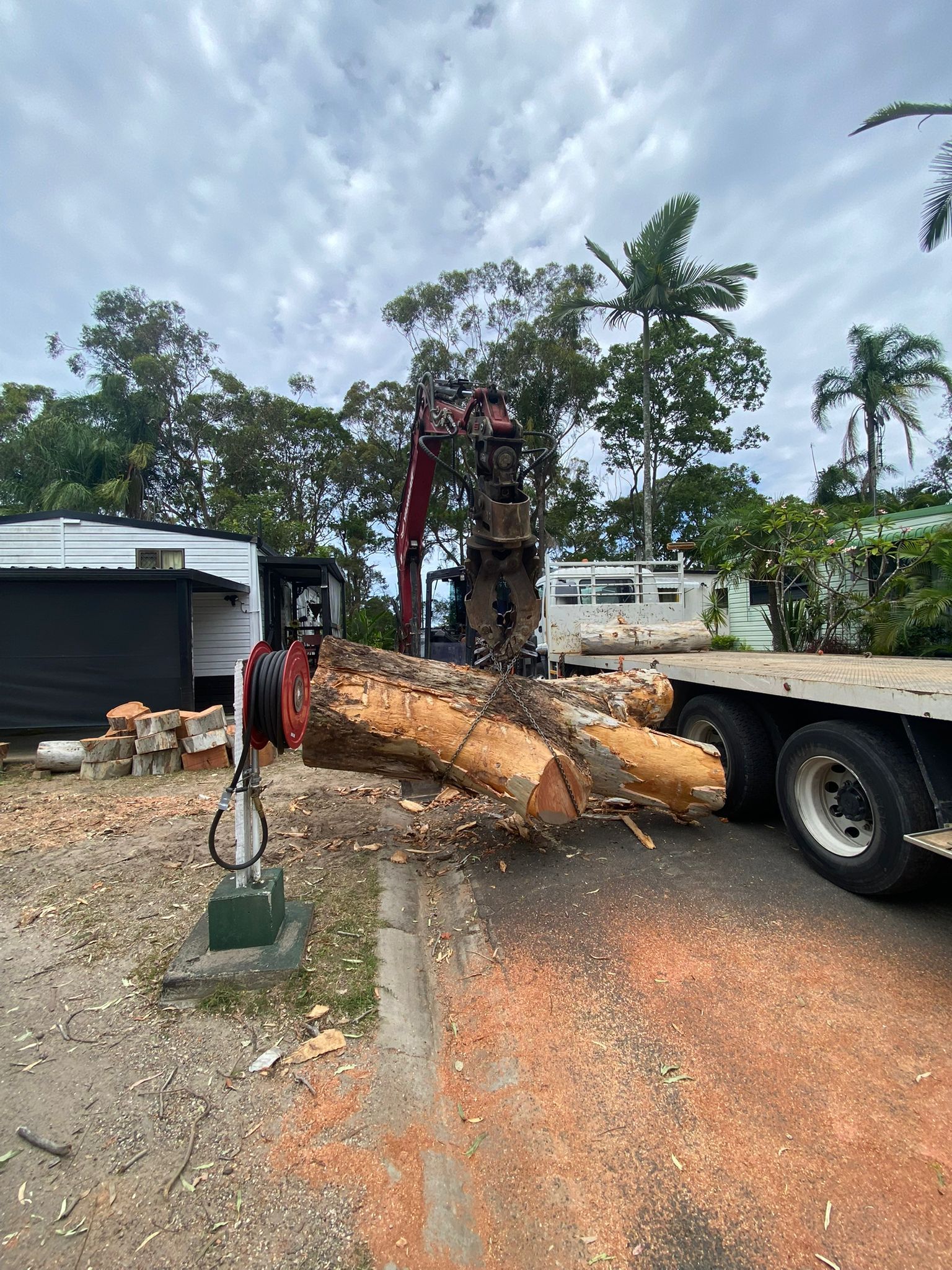Gold Coast tree removal services