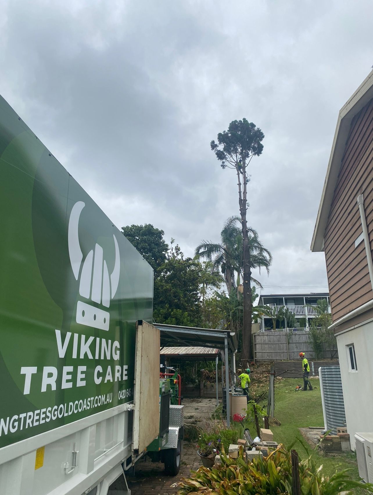 tree pruning Gold Coast