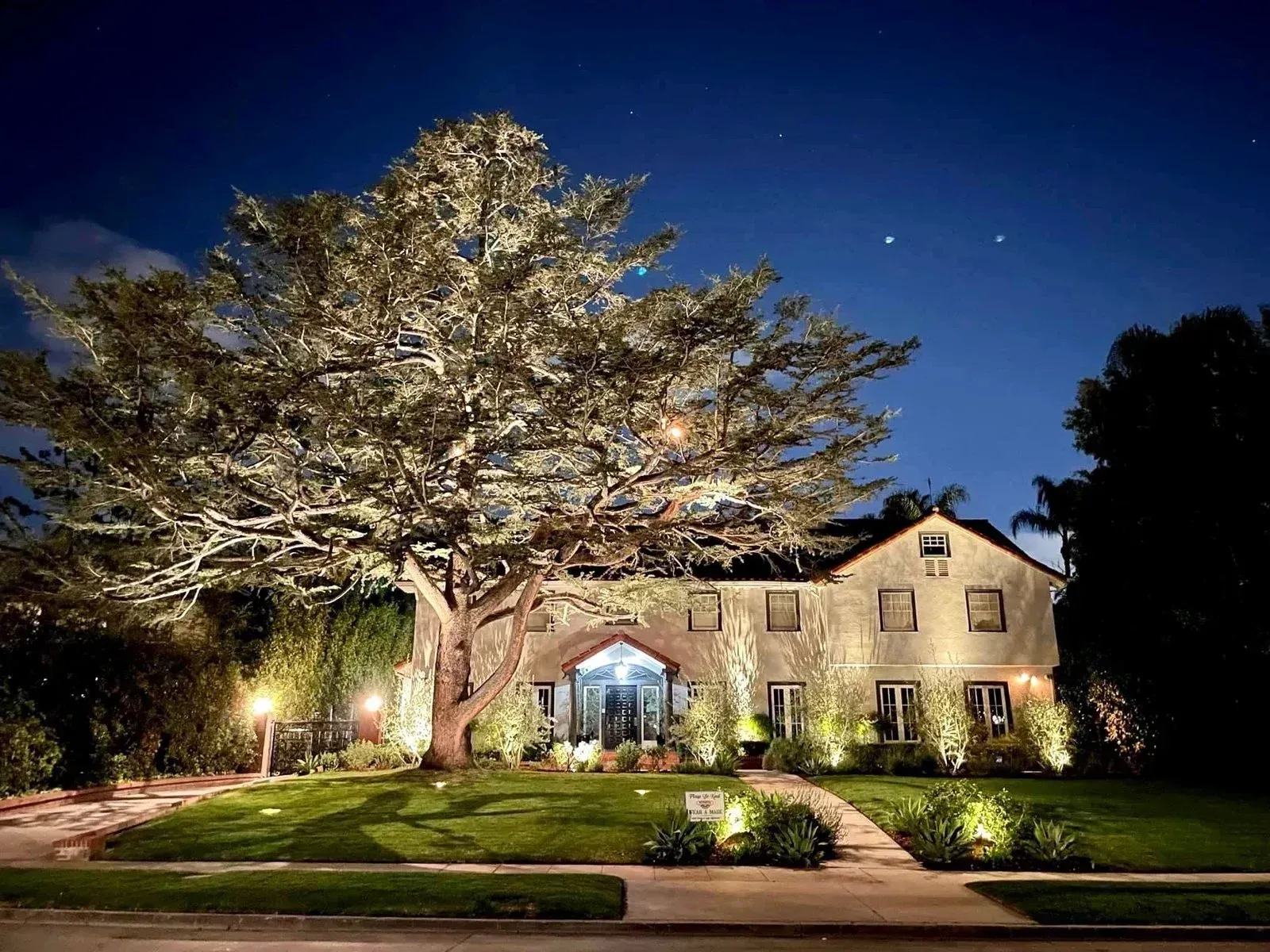 A house with a large tree in front of it is lit up at night.