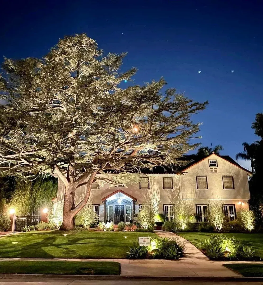 A house with a large tree in front of it is lit up at night.