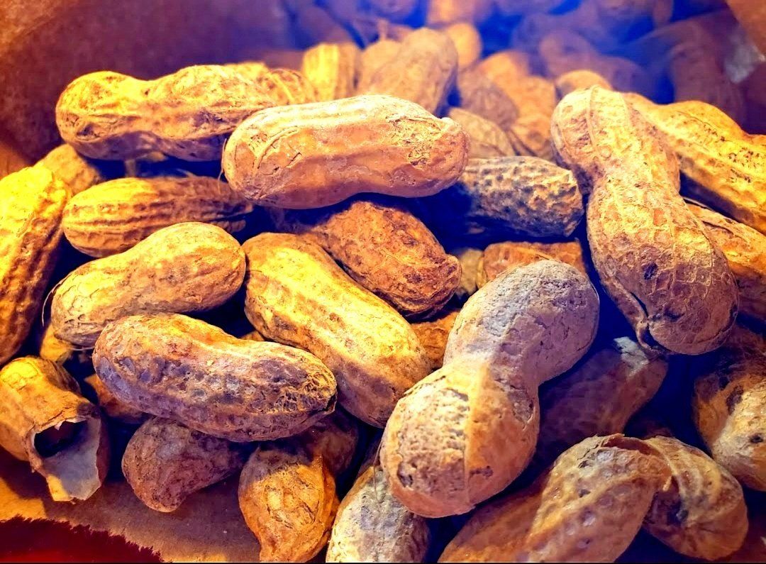 A bag filled with peanuts in their shells