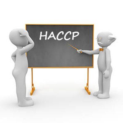 disegno 3d di lavagna con la scritta HACCP