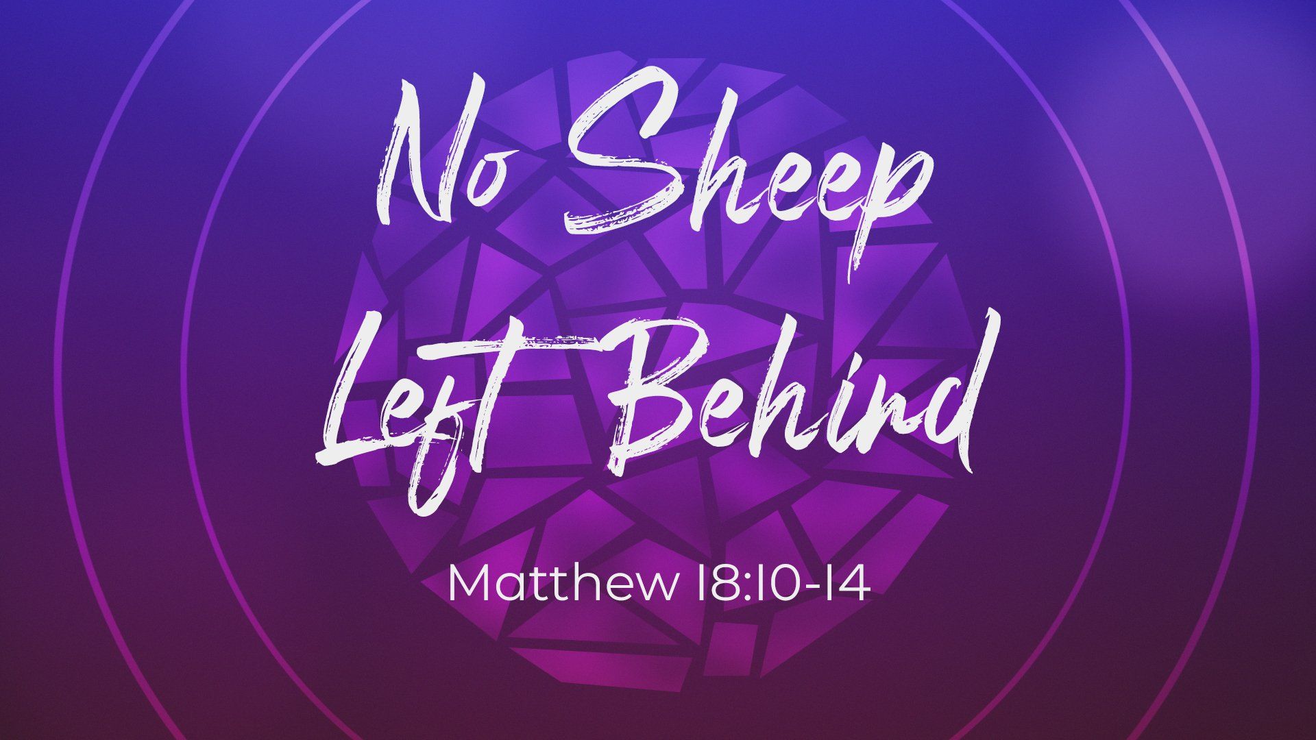 no-sheep-left-behind