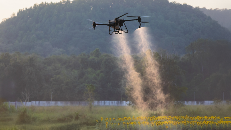 Drone spraying crops with mist in a field with a forested hill in the background.