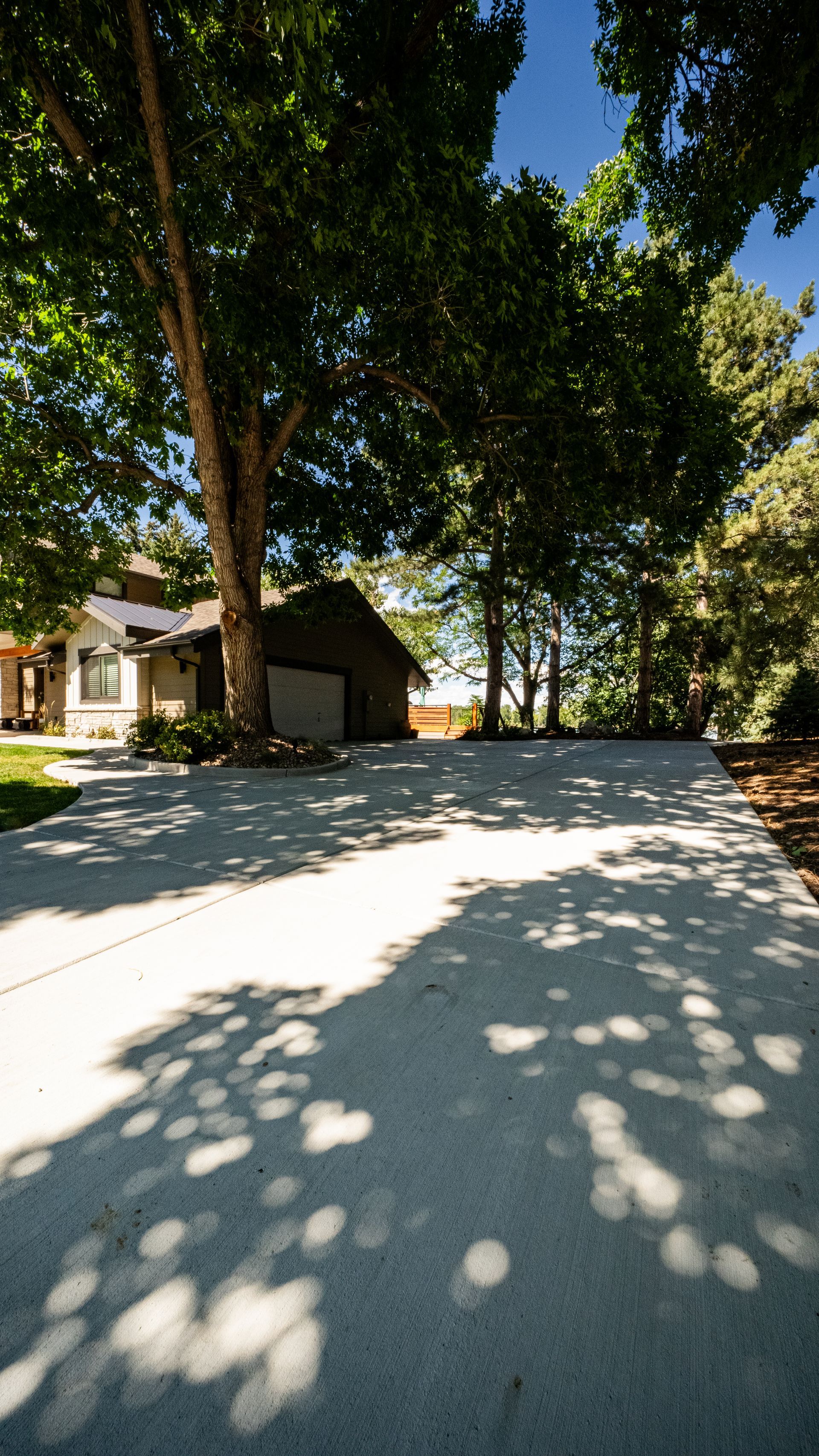 Tree-lined driveway leading to a house and garage, with bright sunlight and dappled shadows on the pavement.