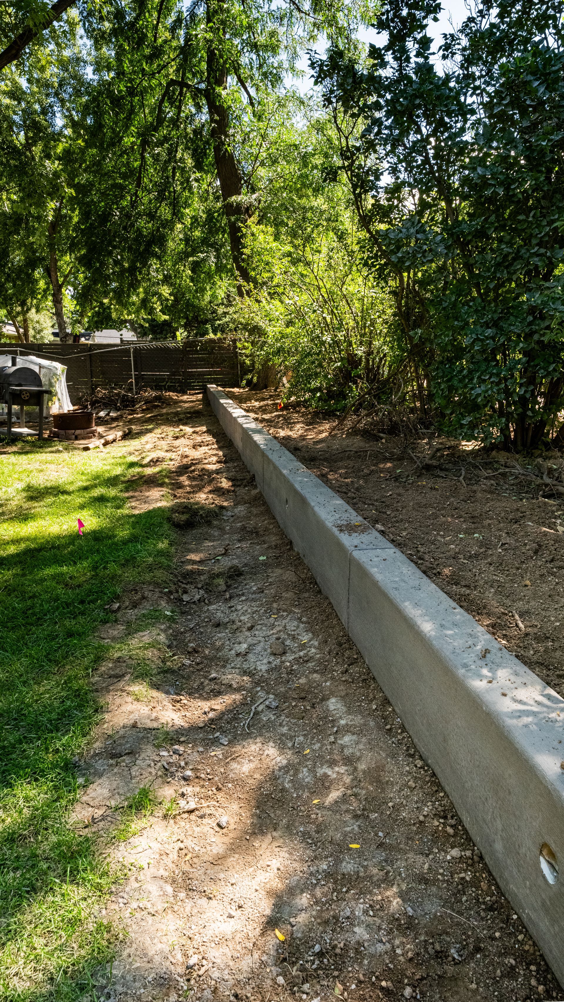 Garden path beside a low concrete retaining wall, bordered by trees and dense greenery.