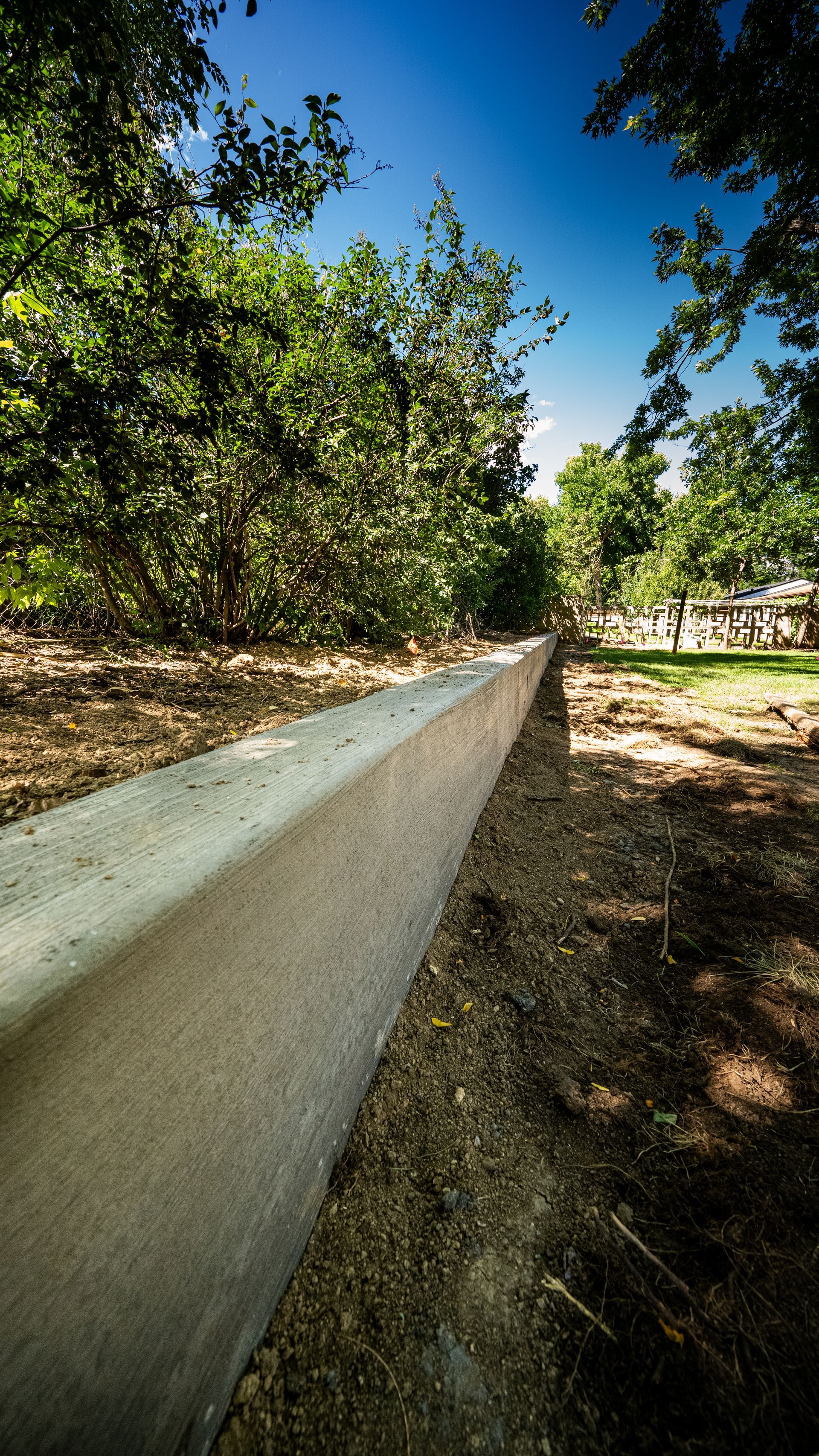 Low concrete wall under leafy trees on a sunny path with blue sky overhead
