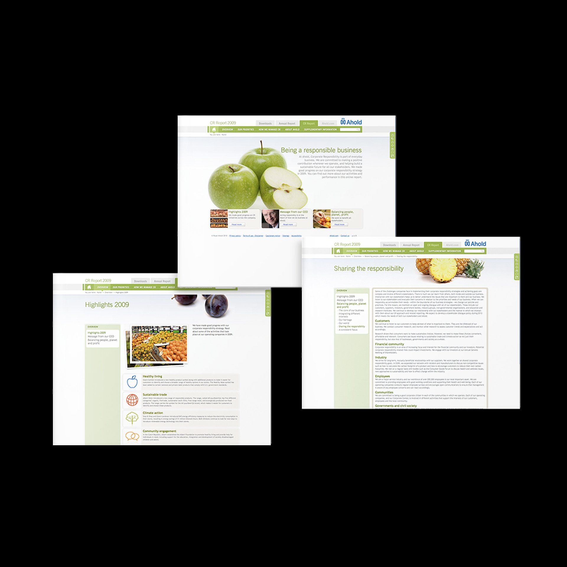 Ahold CR report online