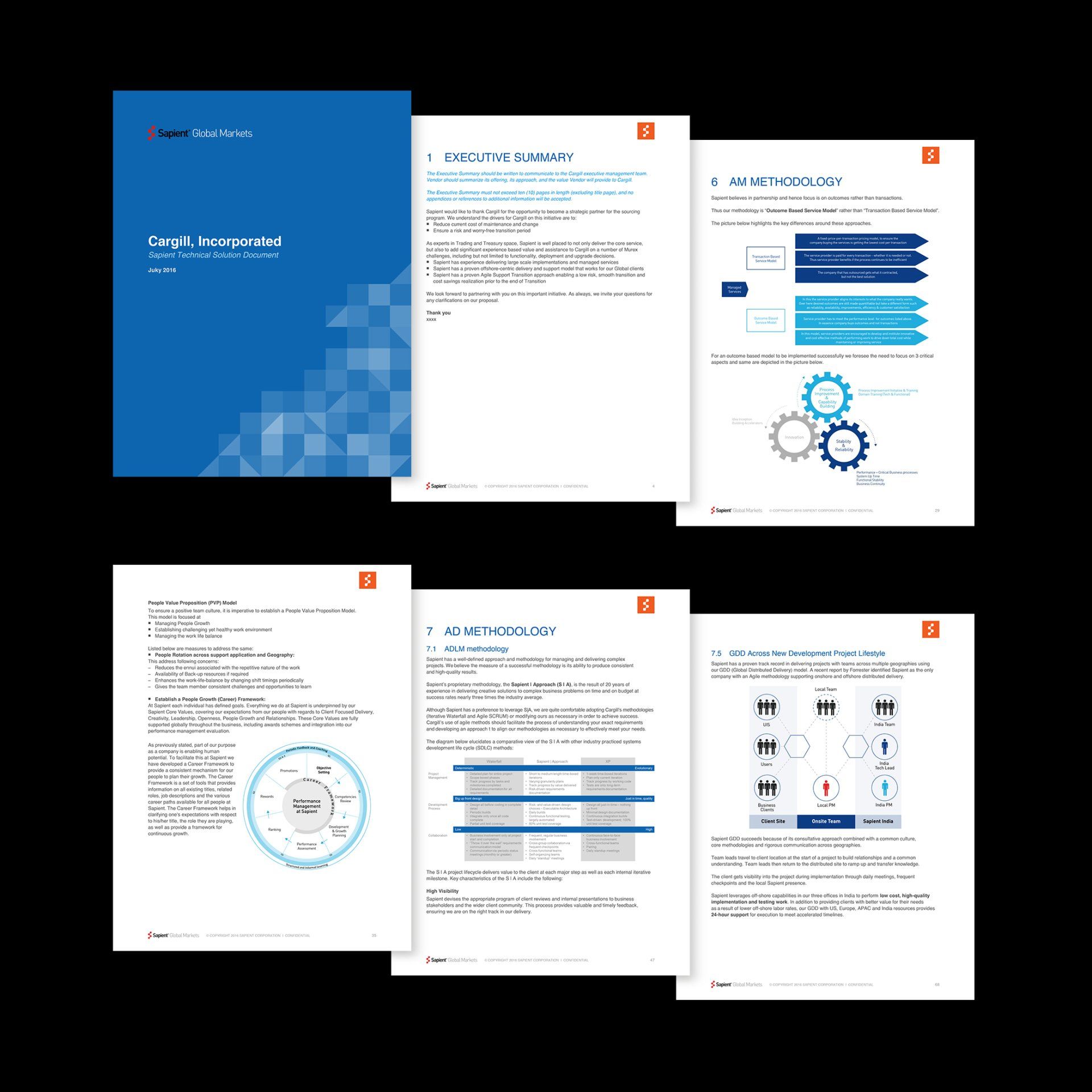 Sapient technical solution