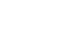 A white background with a few lines on it