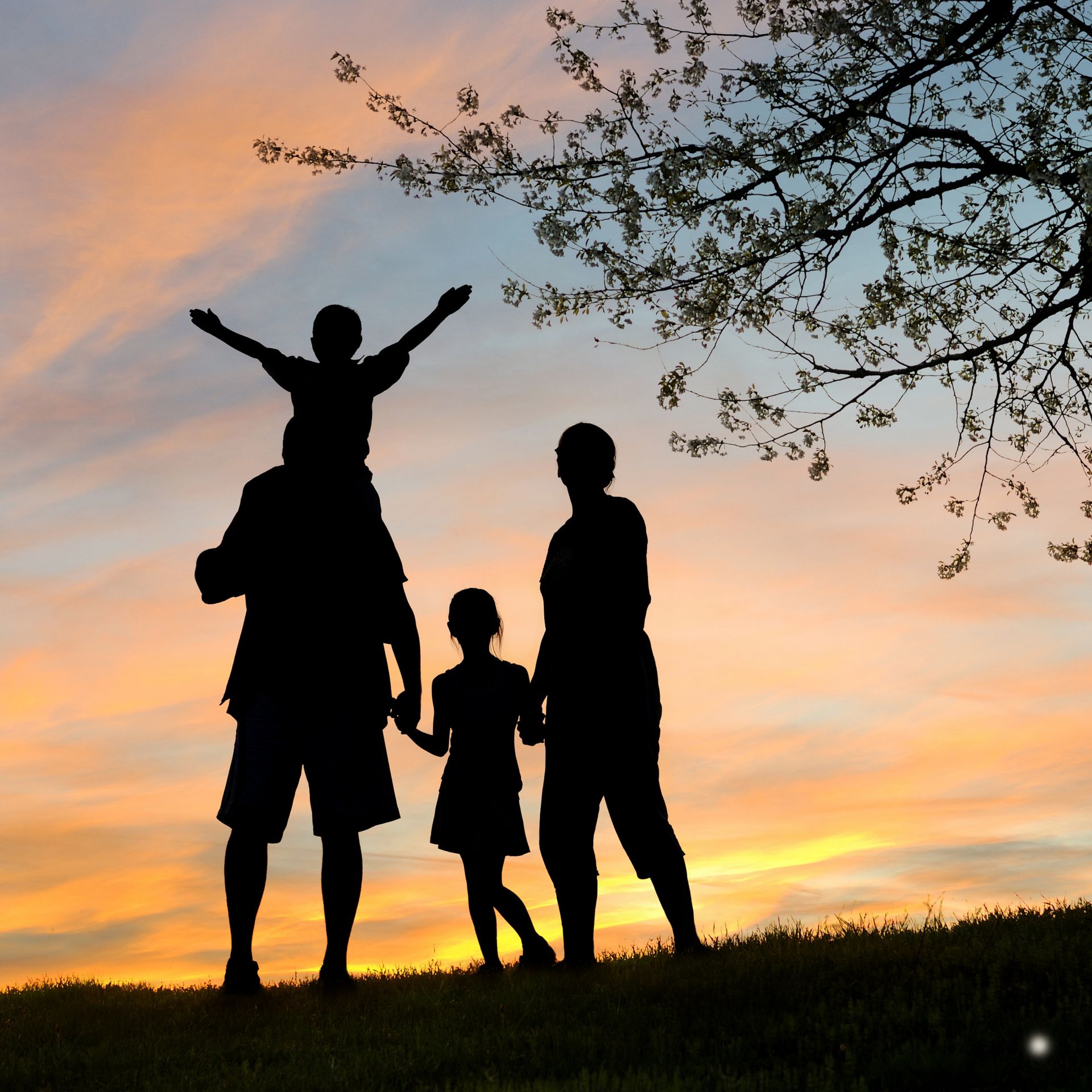 Silhouetted family with child on shoulders at sunset, standing on grass under tree branches.