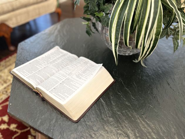 Open book on a dark table beside a potted plant with striped green-and-white leaves.