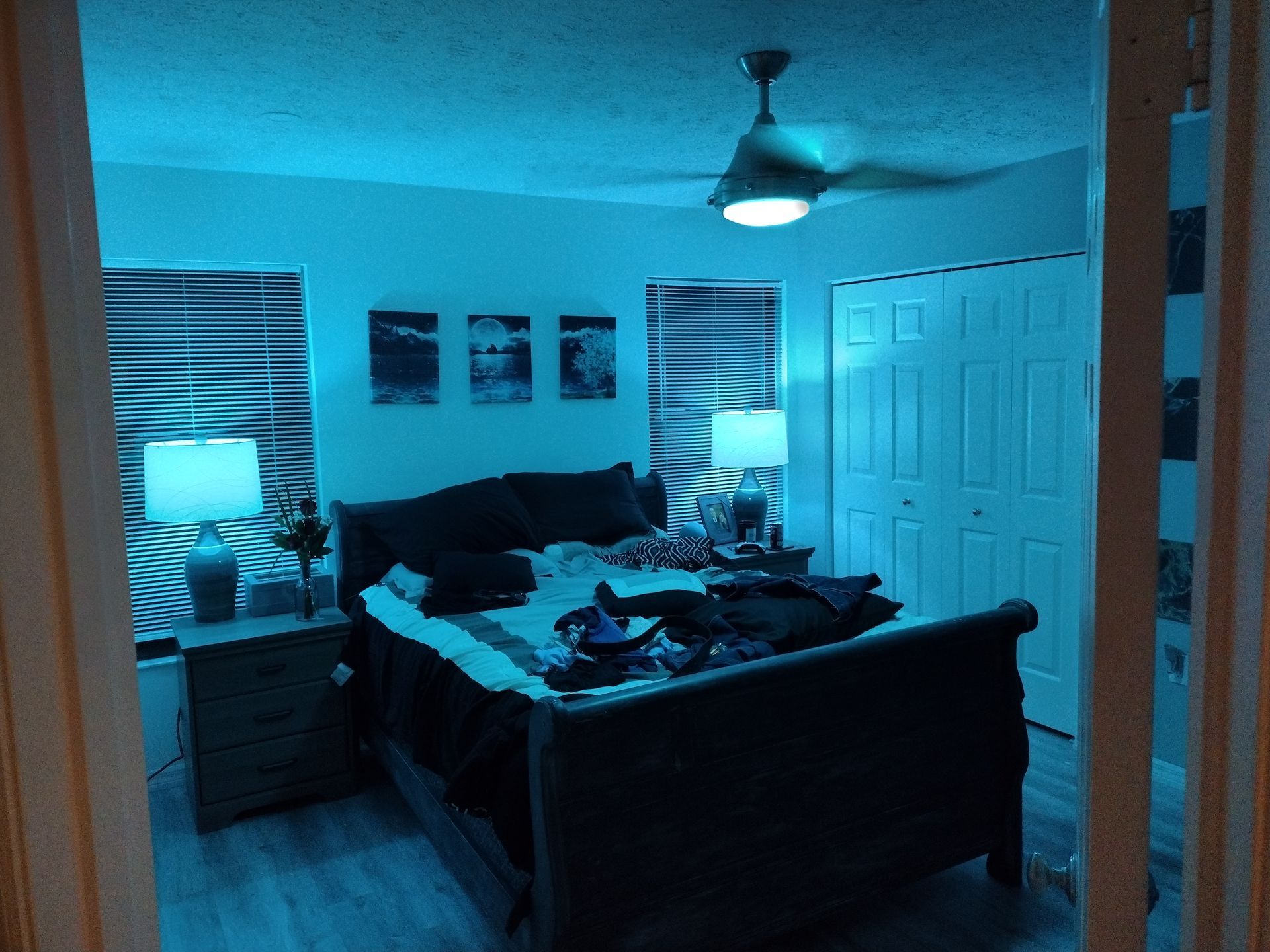 Bedroom with blue lighting, bed, nightstands, art, and closet.