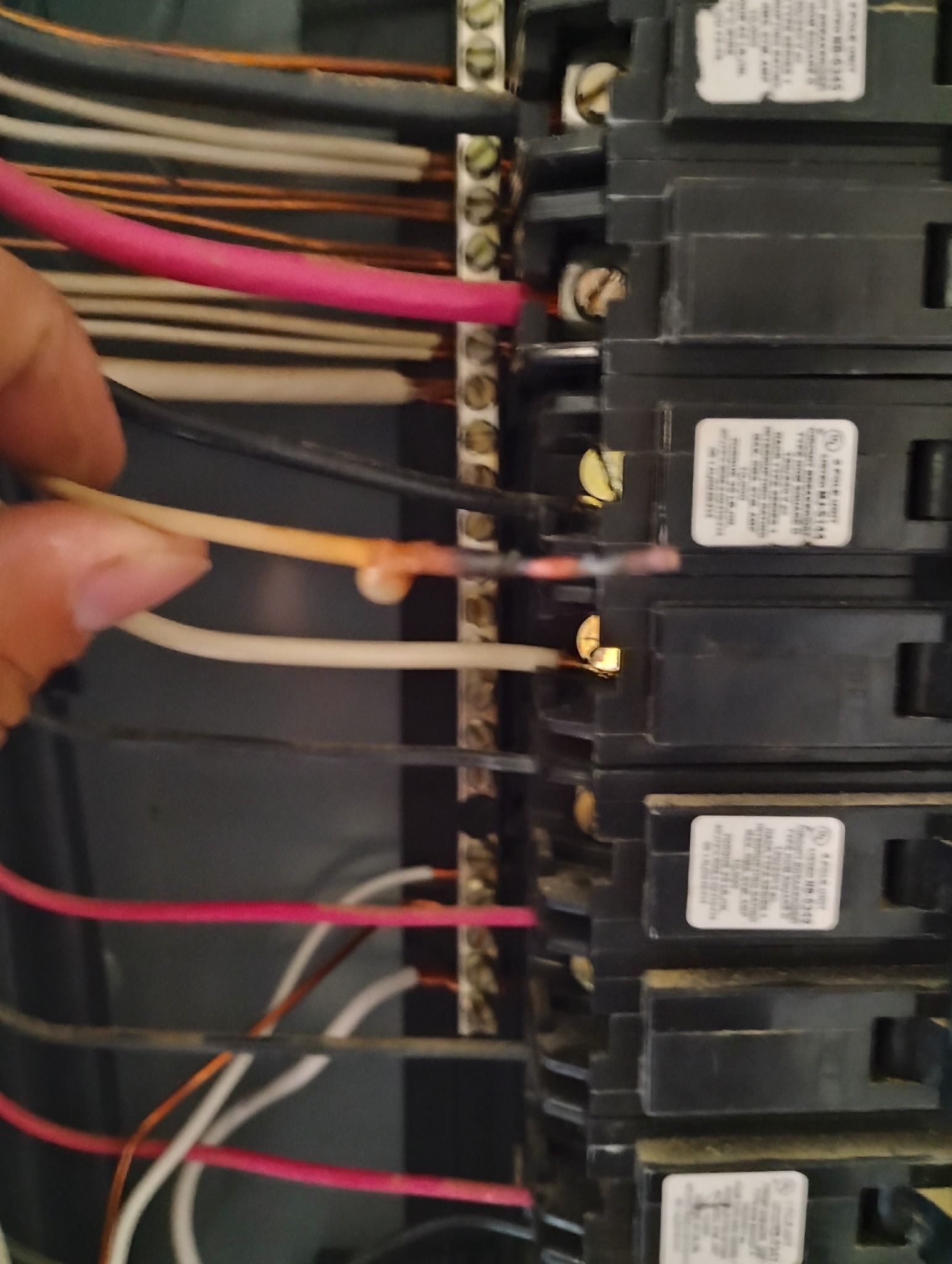 Hand holding burnt wires in an open electrical panel. Black, white, and orange wires are visible.