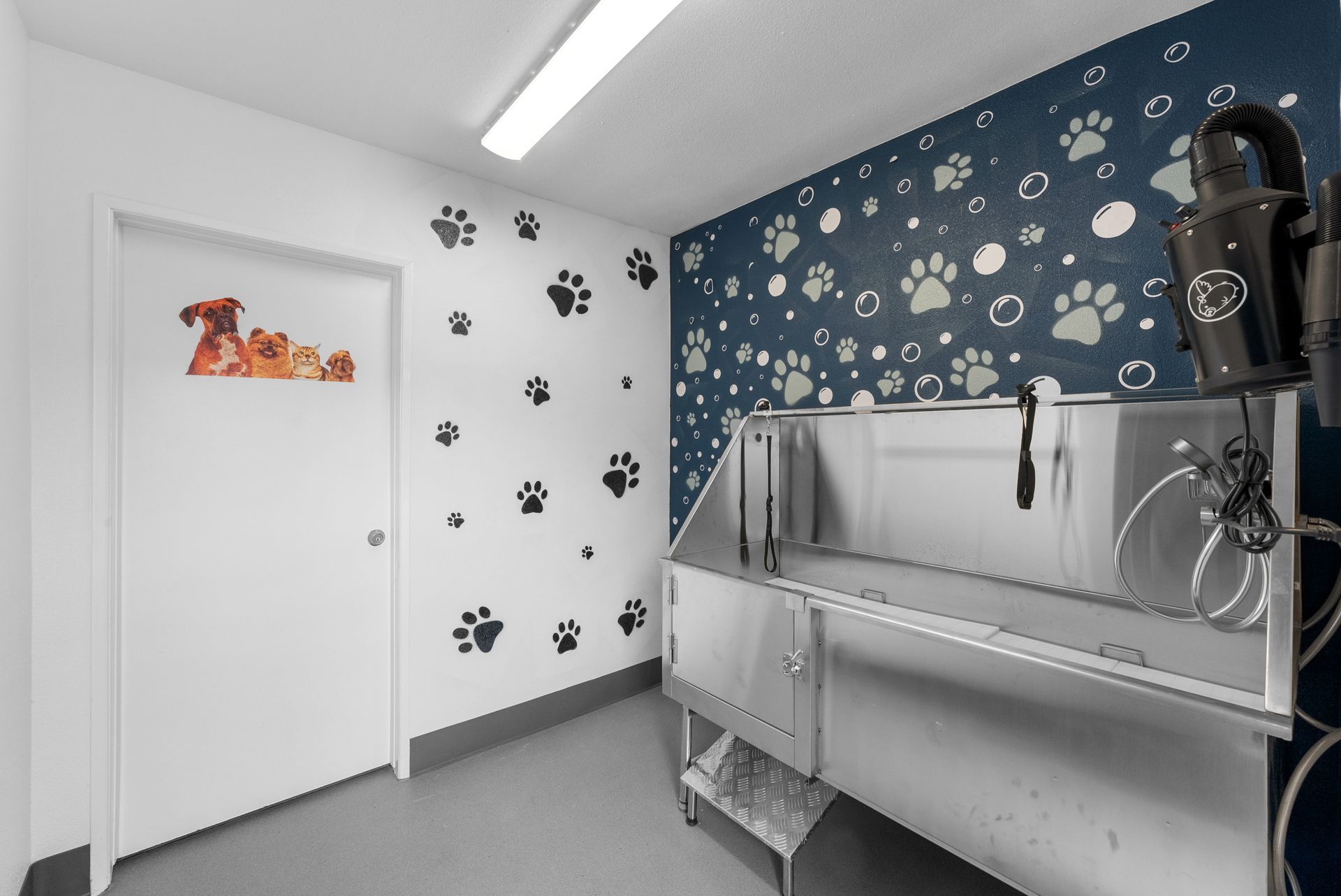 dog wash room and station