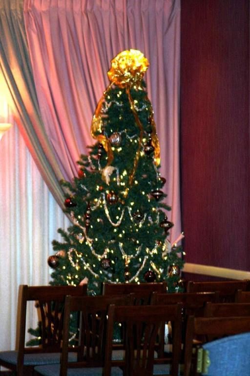 a christmas tree in a room with chairs and curtains