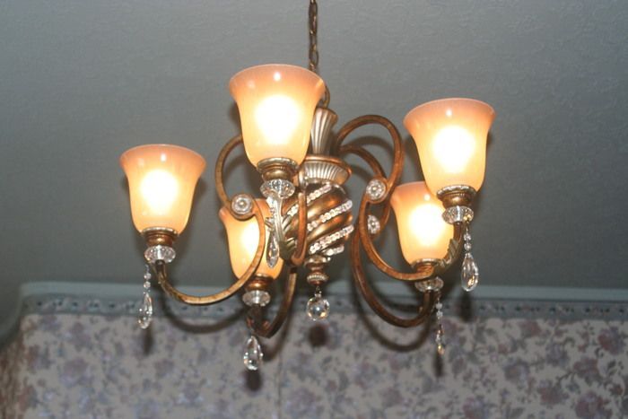 a chandelier is hanging from the ceiling with a floral wallpaper behind it