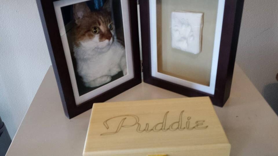 Pet photo and urn