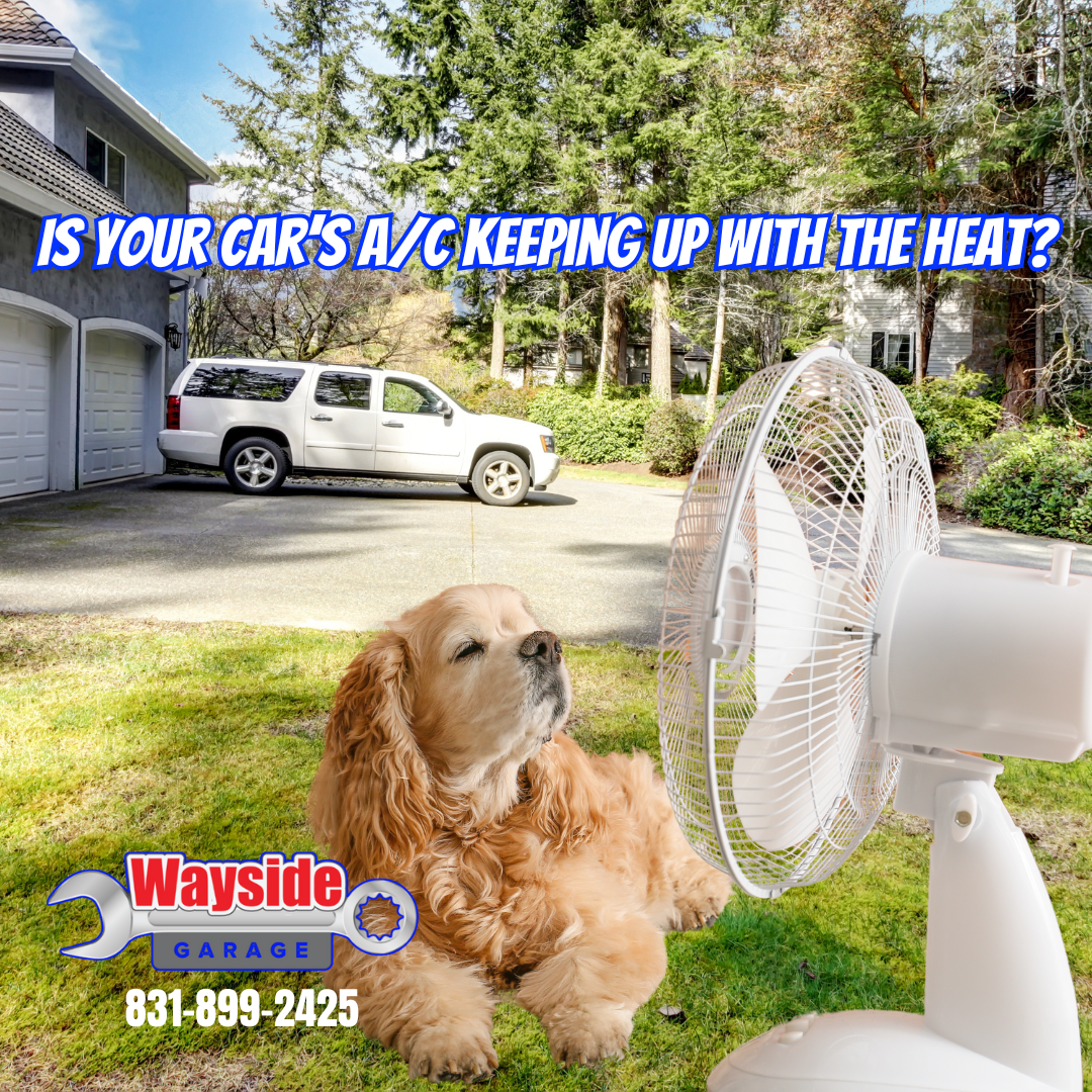 Golden retriever cooling off in front of a fan beside a parked SUV, illustrating the need for summer