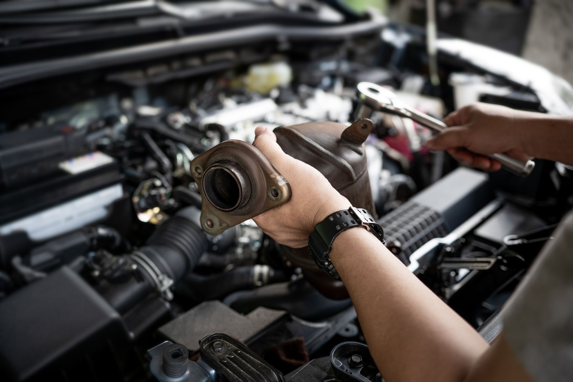 Mouse vs. Car: How to Protect Your Vehicle from Rodent Damage | Wayside Garage