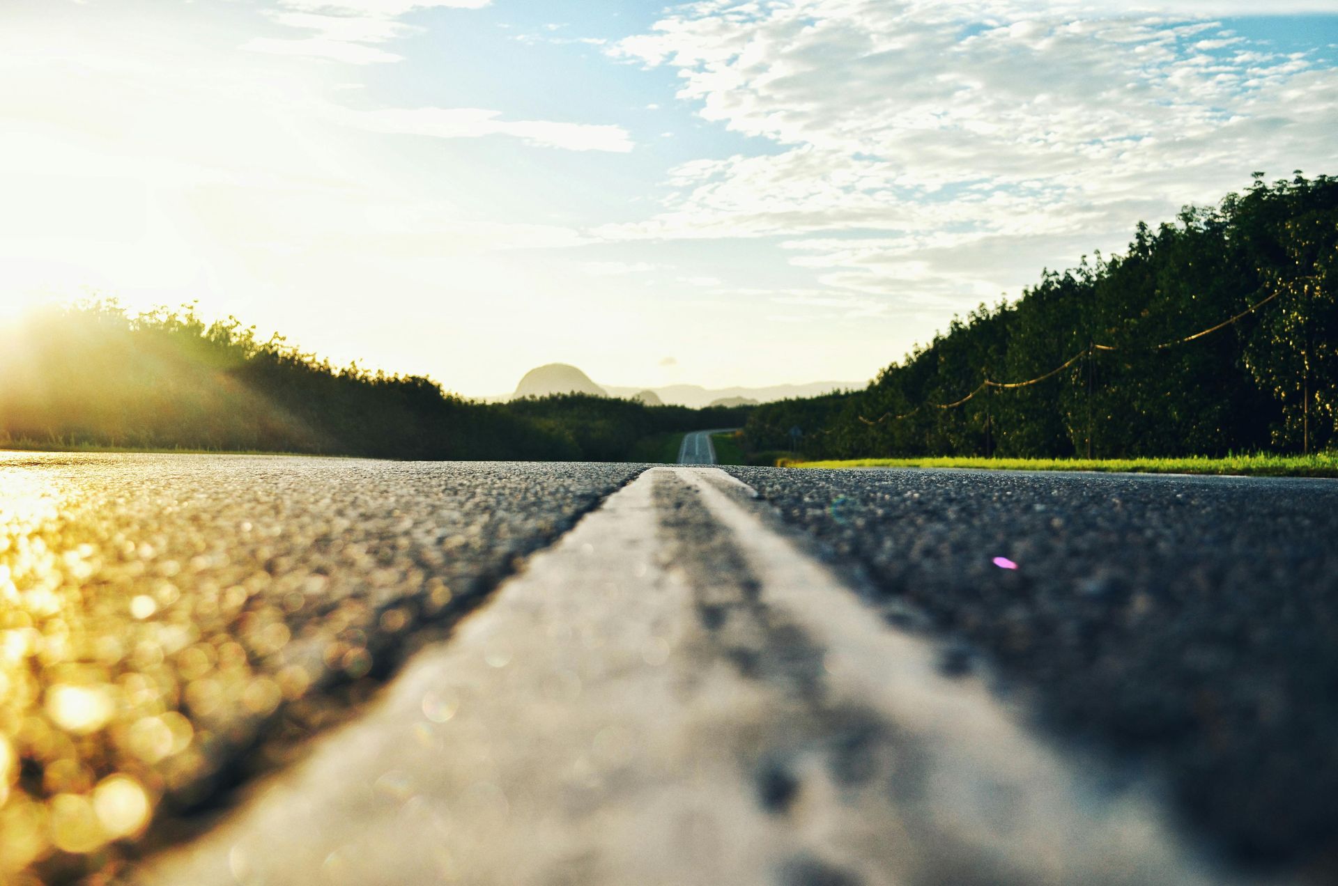 Summer Road | Wayside Garage