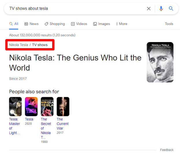 tesla google search