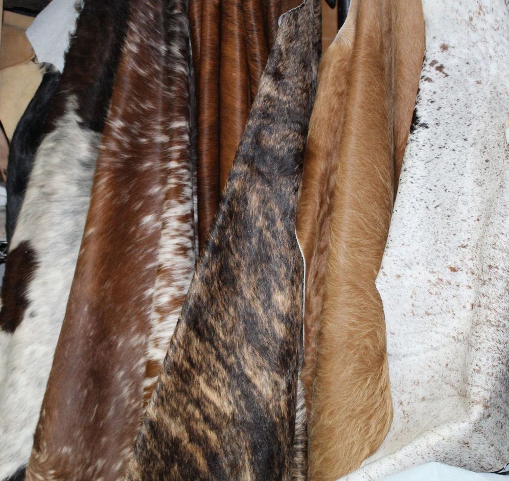 Cowhide skins of various colors hanging together. Includes spotted, brown, and brindle patterns.