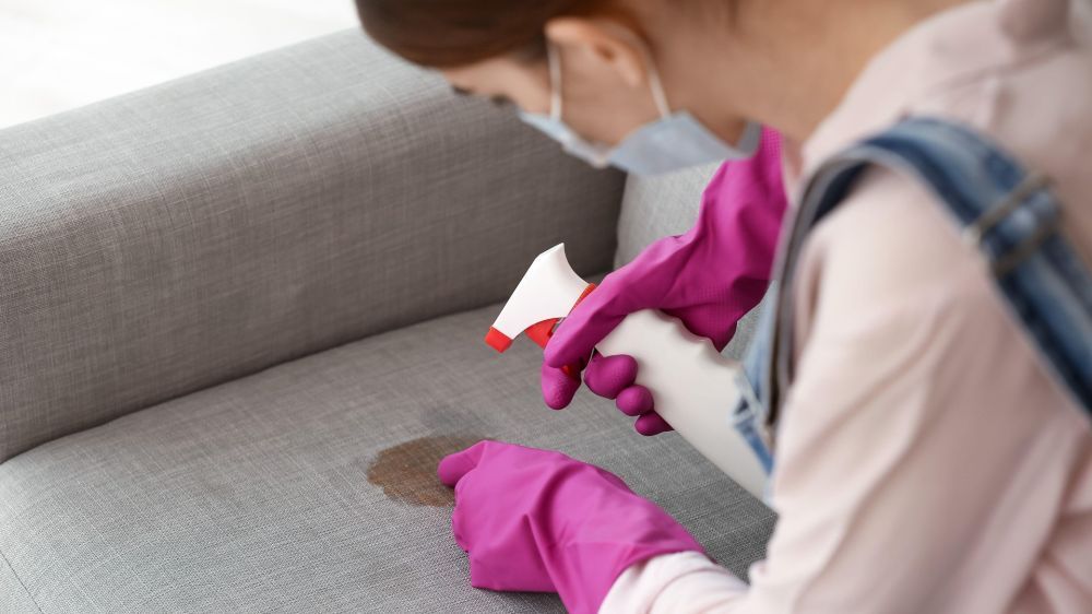 A woman is cleaning a couch with a spray bottle.
