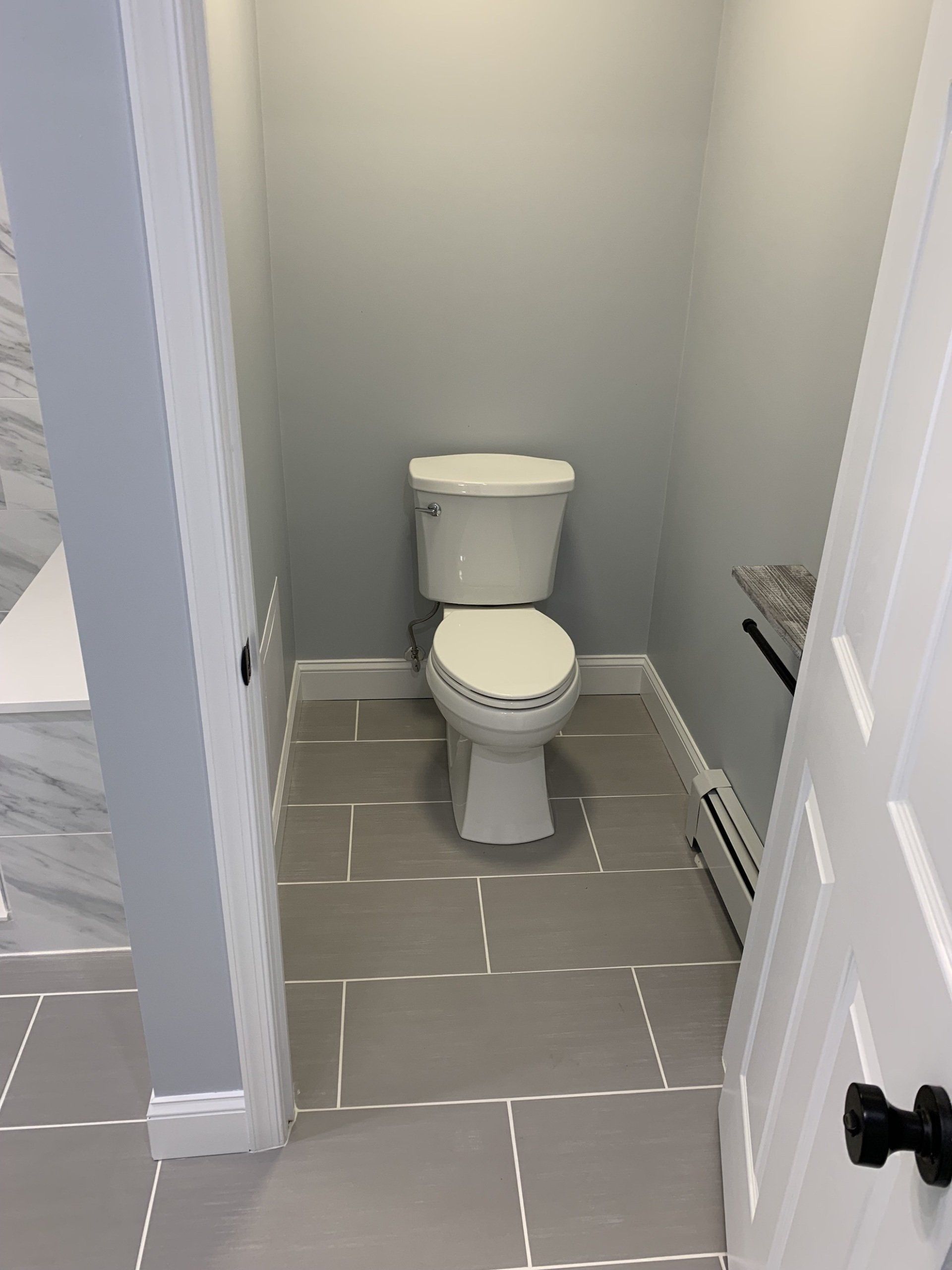 bathroom remodel with toilet area with door