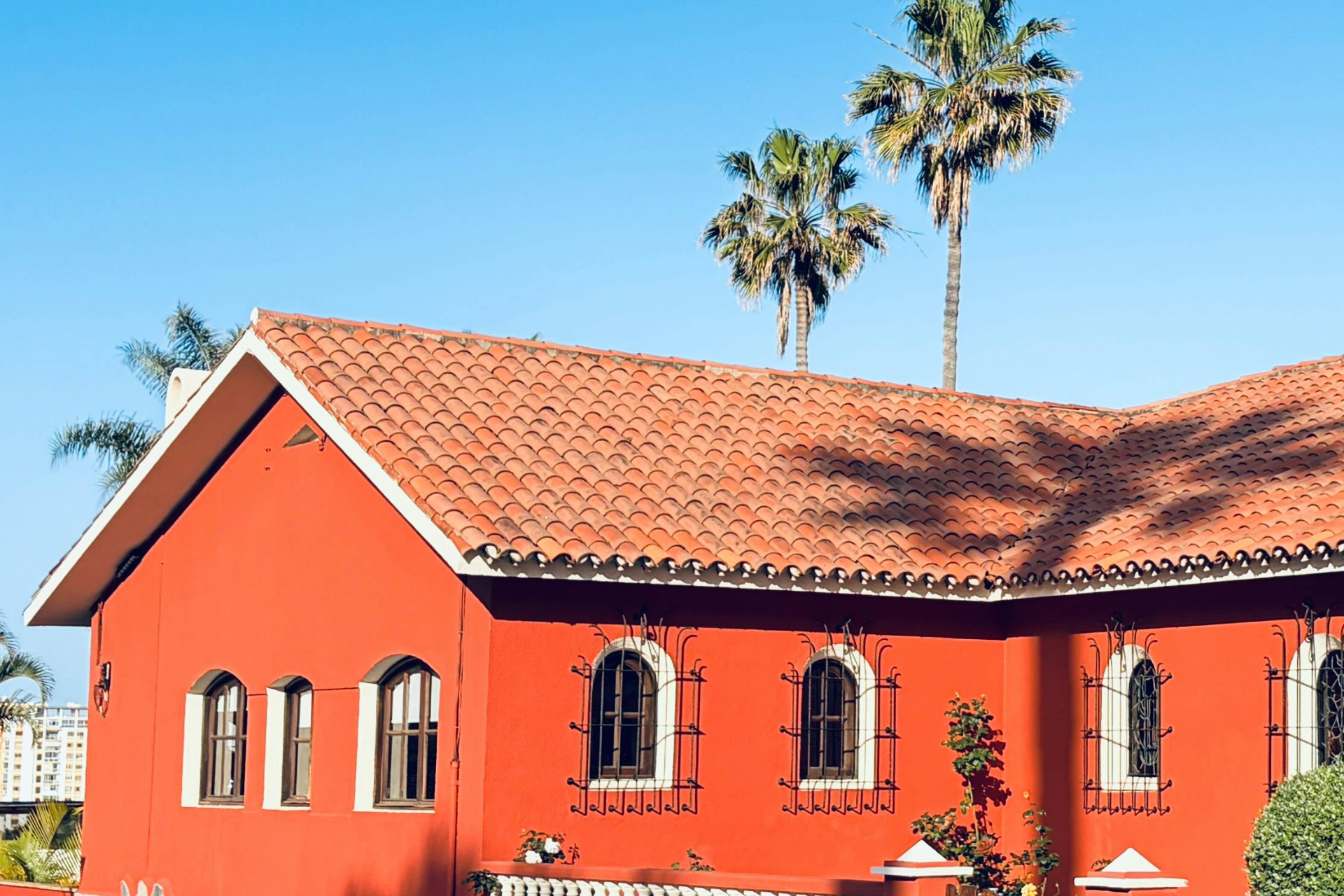 Gray shingled roof with a chimney against a blue sky, framed by tree branches.
