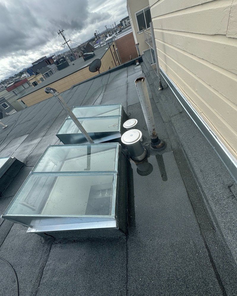 Dark gray asphalt shingle roof with multiple gabled sections. Skylights visible.