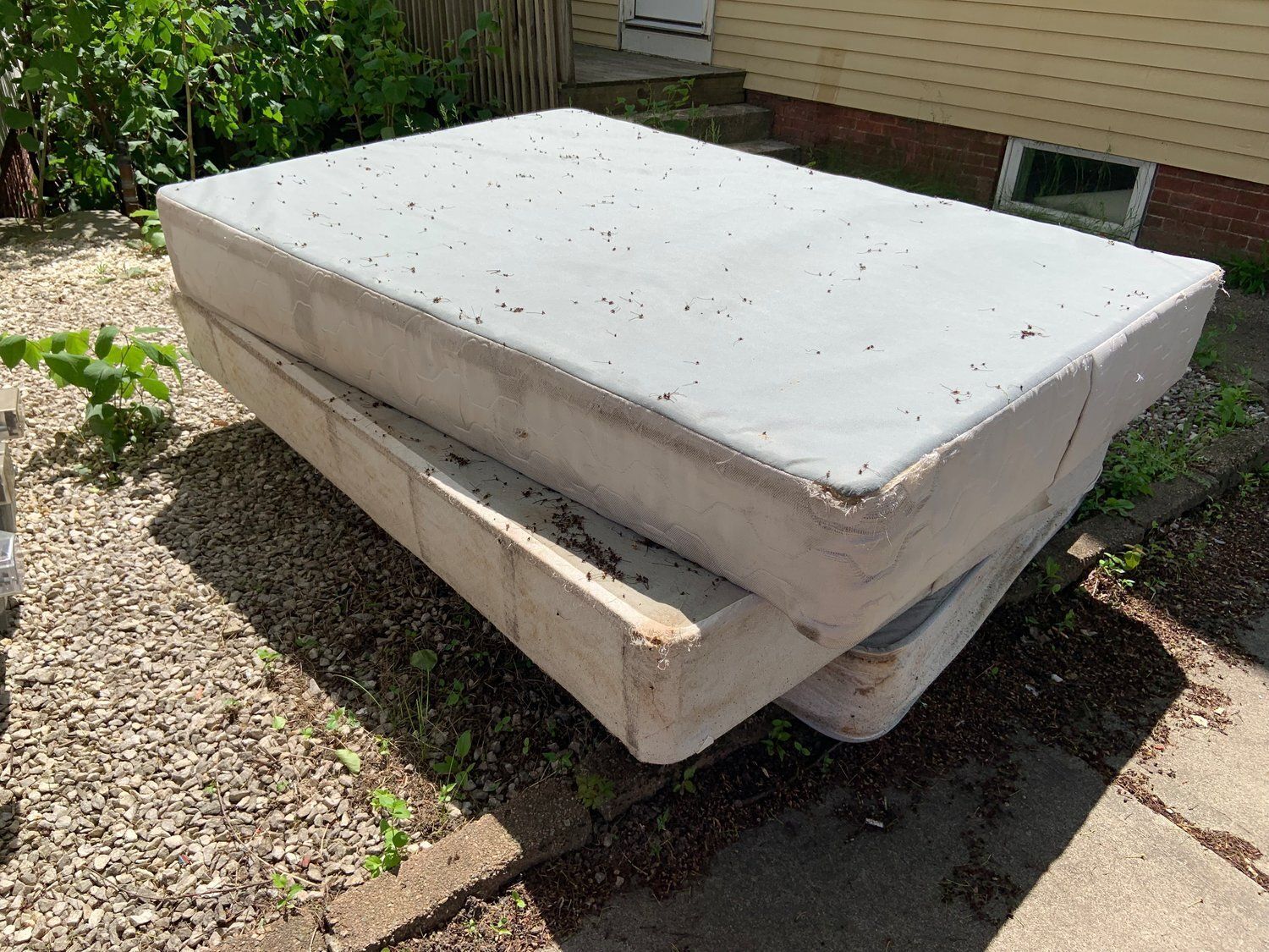 mattress sales in traverse city michigan