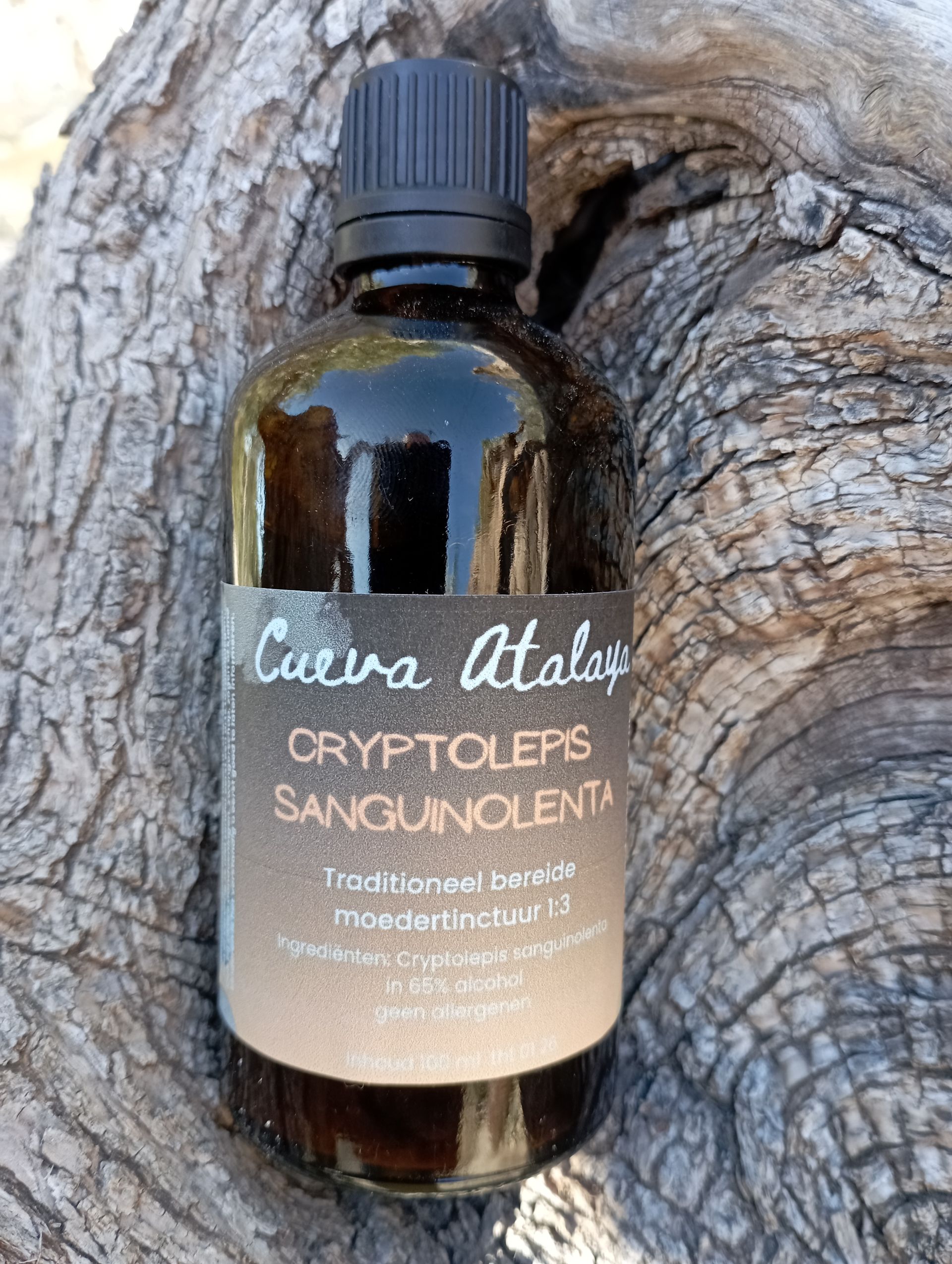 Één van de meest helende kruiden ter wereld
Lyme, malaria, anti bacterieel, anti parasitair, anti viraal etc....