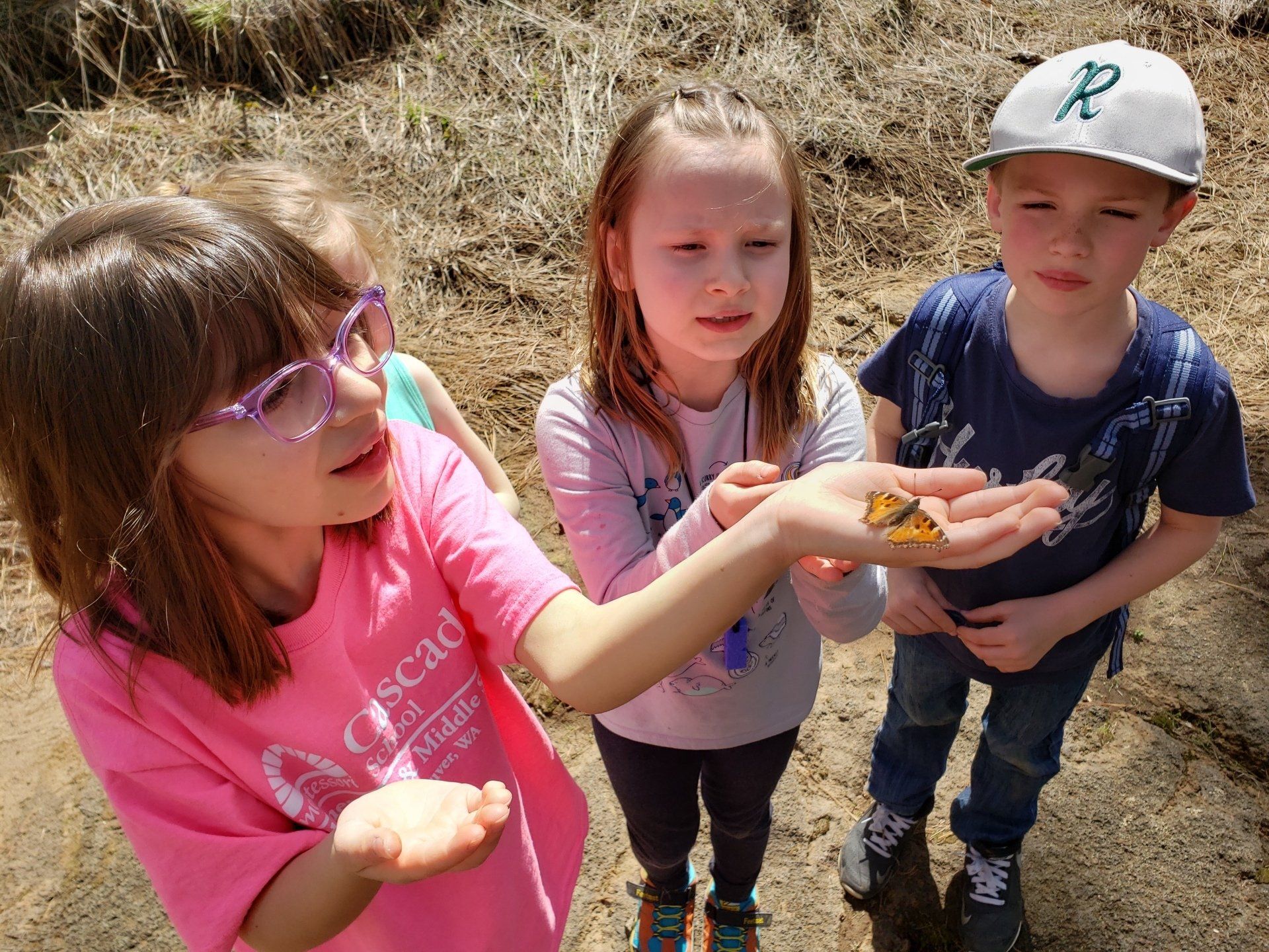 A girl in a pink shirt is holding a butterfly in her hand.