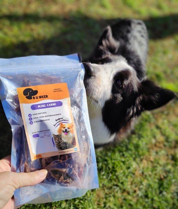 Snack natural mini Carne 