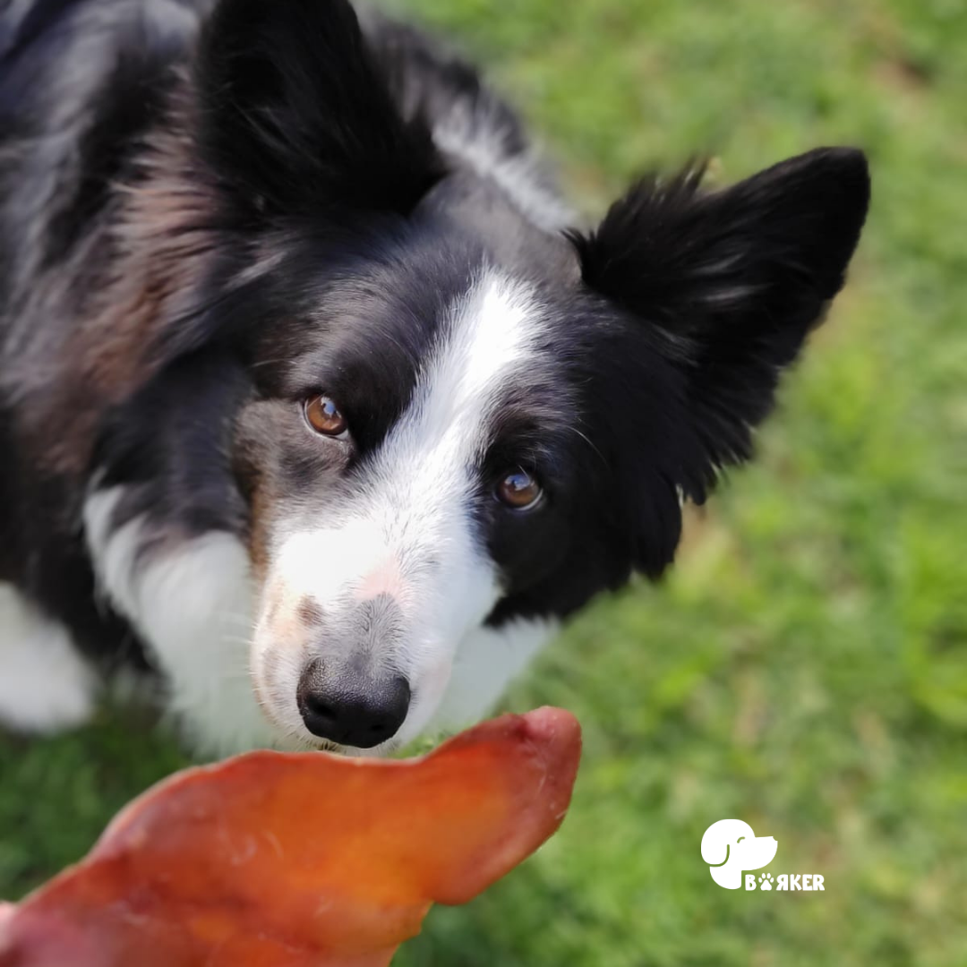 Snack natural Orejas de cerdo