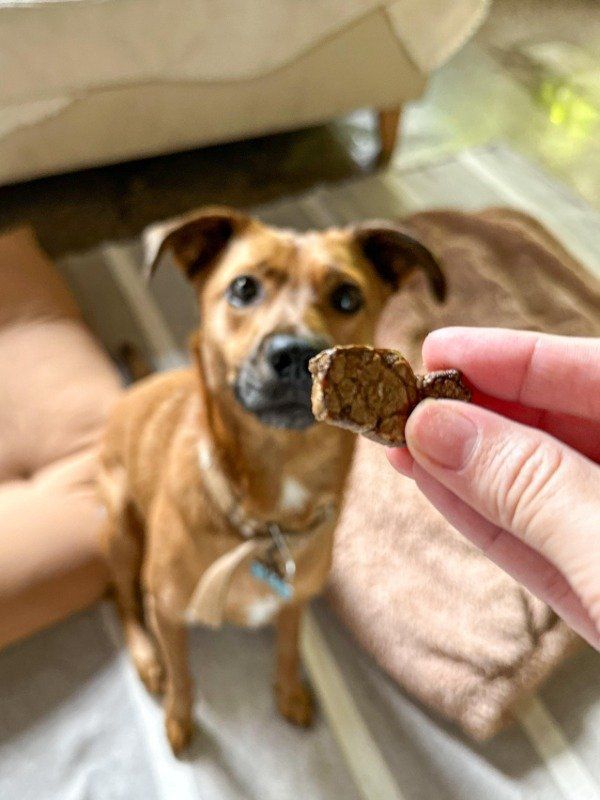 Snack natural Mini Pulmón 