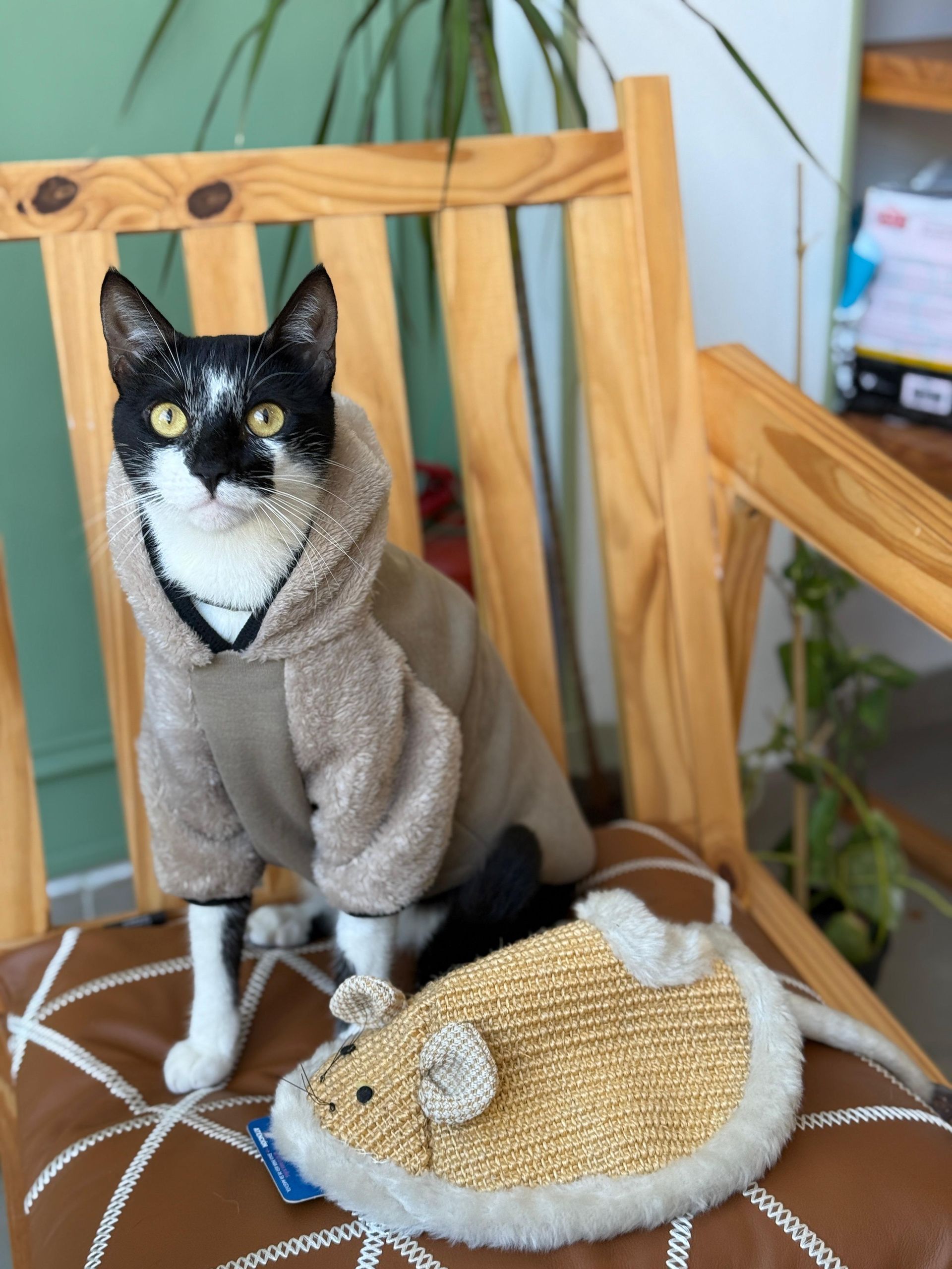 Buzito con corderito y capucha
