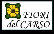 Residenza Fiori del Carso