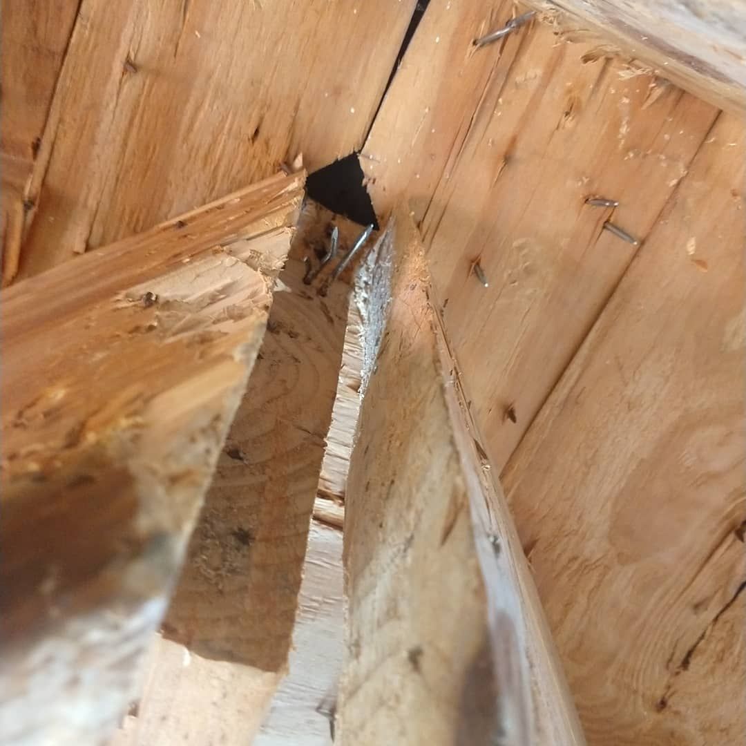 Wooden roof rafters meet at an angle, showing exposed nails and construction.