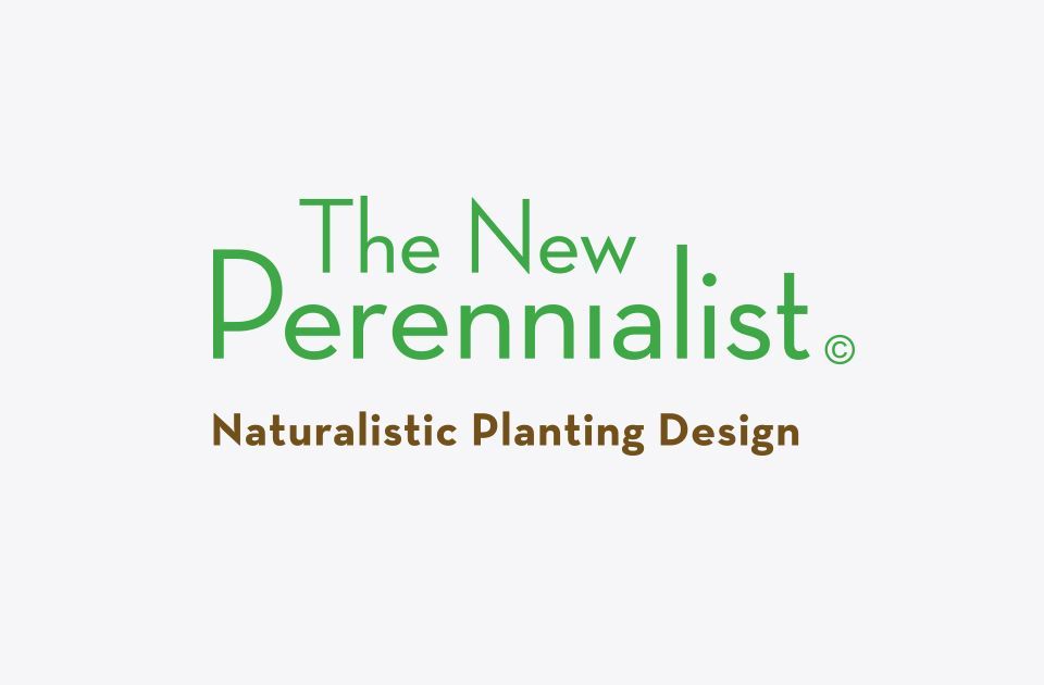 The New Perennialist word mark