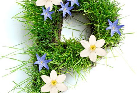 Photo of a P made of grass and flowers