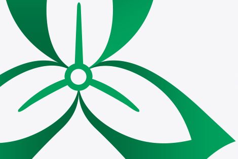 Detail of Trillium Gift of Life Network logo