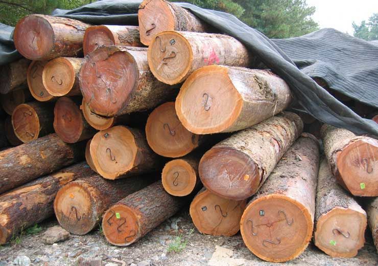 A pile of logs with the number 2 on them