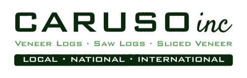 A logo for caruso inc which sells saw logs and sliced veneer
